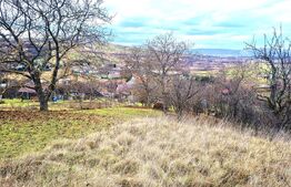 Teren intravilan 1.700 mp, front 68 m, zona Sopor