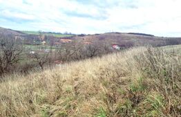 Teren intravilan 1.700 mp, front 68 m, zona  Sopor