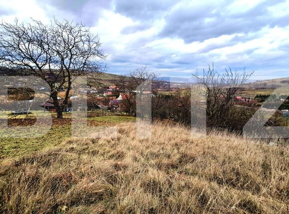 Teren de vânzare Sopor - 187830TV | BLITZ Cluj-Napoca | Poza2