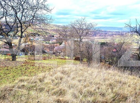 Teren de vânzare Sopor - 187830TV | BLITZ Cluj-Napoca | Poza5