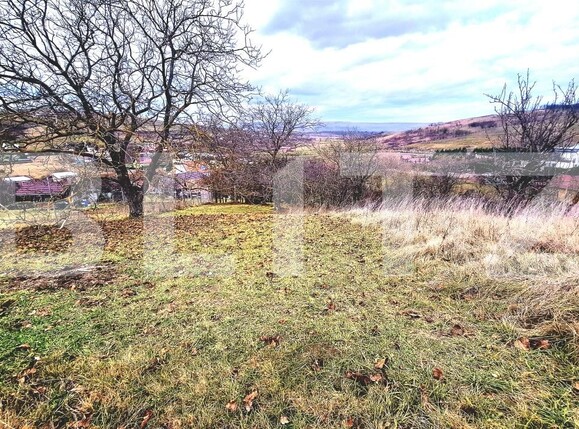 Teren de vânzare Sopor - 187830TV | BLITZ Cluj-Napoca | Poza4