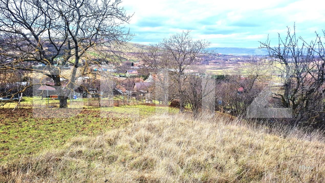 Teren de vânzare Sopor - 187830TV | BLITZ Cluj-Napoca | Poza5