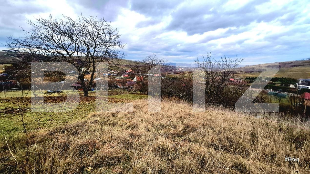 Teren de vânzare Sopor - 187830TV | BLITZ Cluj-Napoca | Poza2