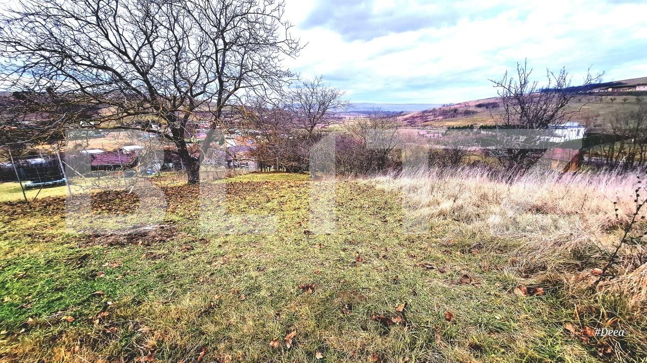 Teren de vânzare Sopor - 187830TV | BLITZ Cluj-Napoca | Poza4