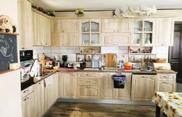 Inchiriere casa cu curte individuala 