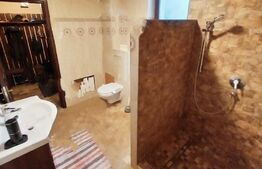 Inchiriere casa cu curte individuala 