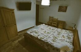 Inchiriere parter casa cu curte individuala 