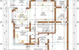 Teren cu o Autorizatie de Construire pentru 2 Case (P+E) în Jucu
