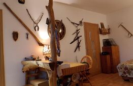 Garsonieră 1 camera, 30 mp, zona Gării