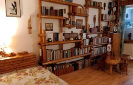 Garsonieră 1 camera, 30 mp, zona Gării