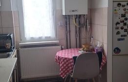 Apartament 2 camere, 55 mp, zona Gemenii