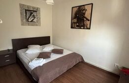 Apartament 2 camere renovat complet, poziție centrală, Predeal