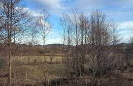 CABANĂ PREMIUM LA MUNTE | 123 MP | 2.200 MP TEREN | PRIVELIȘTE SUPERBĂ