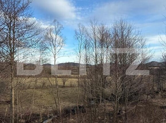 Casa de vânzare 3 camere Zarnesti - 187943CV | BLITZ Brașov | Poza13