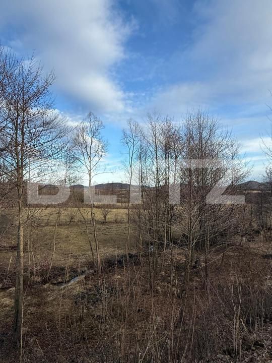 Casa de vânzare 3 camere Zarnesti - 187943CV | BLITZ Brașov | Poza13