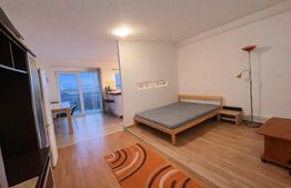 Garsonieră de închiriat Gruia - 30955AI | BLITZ Cluj-Napoca | Poza2