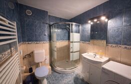 Garsonieră 40 mp cu balcon, prima închiriere după renovare – zona Plevnei