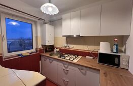 Garsonieră 40 mp cu balcon, prima închiriere după renovare – zona Plevnei