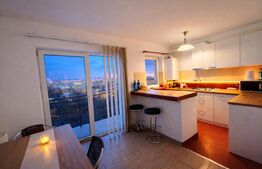 Garsonieră 40 mp cu balcon, prima închiriere după renovare – zona Plevnei