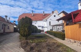 Casă săsească renovată integral, 2200 mp teren, ideală pentru două familii 