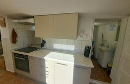 Casă săsească renovată integral, 2200 mp teren, ideală pentru două familii 