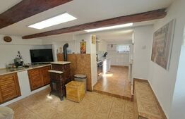 Casă săsească renovată integral, 2200 mp teren, ideală pentru două familii 