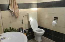 Casa individuala cocheta, 153 mp utili, 392 mp teren, cu gradina amenajata!