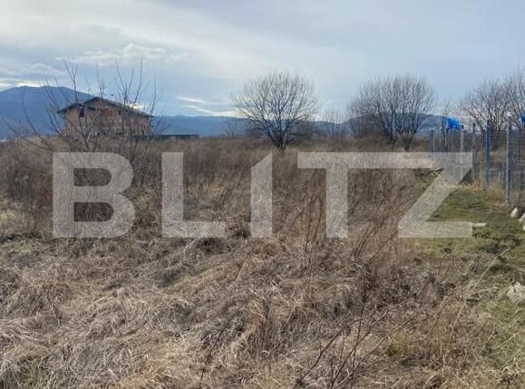 Teren de vânzare Sacele - 188032TV | BLITZ Brașov | Poza2