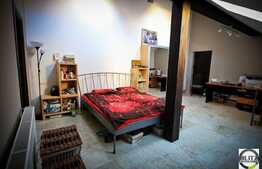 Casa pentru doua familii, cu 2 apartamente, 120 mp, zona Piata Unirii!