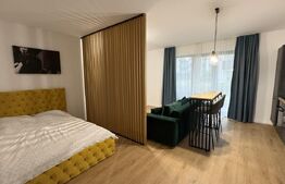 Studio modern, 40mp, parcare, zona Semicentrala