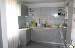 Inchiriere casa cu 425 mp utili, 70 mp TERASA! Piscina interioara! Zona Terra!