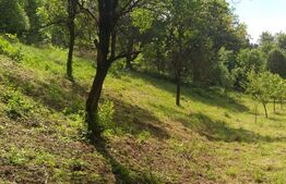 Exclusivist! Teren intravilan de 2800mp cu cascada in Micesti!