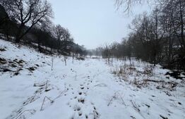 Exclusivist! Teren intravilan de 2800mp cu cascada in Micesti!