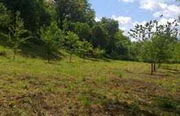 Exclusivist! Teren intravilan de 2800mp cu cascada in Micesti!