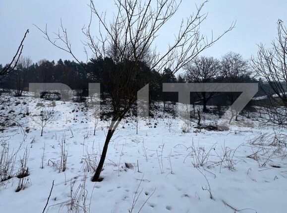 Teren de vânzare Miceşti - 188120TV | BLITZ Cluj-Napoca | Poza6