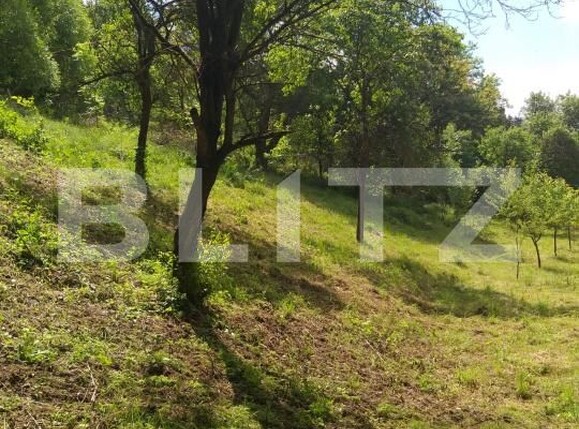 Teren de vânzare Miceşti - 188120TV | BLITZ Cluj-Napoca | Poza5