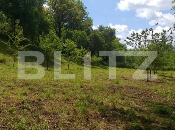 Teren de vânzare Miceşti - 188120TV | BLITZ Cluj-Napoca | Poza3