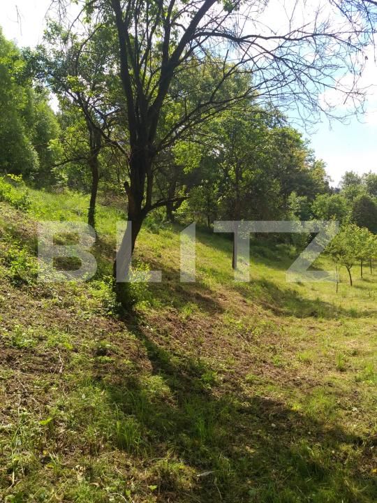 Teren de vânzare Miceşti - 188120TV | BLITZ Cluj-Napoca | Poza5