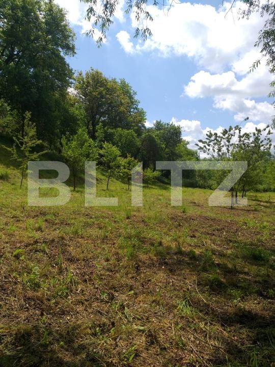 Teren de vânzare Miceşti - 188120TV | BLITZ Cluj-Napoca | Poza3