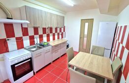 Apartament cu 2 dormitoare, bucatarie separata, renovat, zona Prof. Ioan Rus