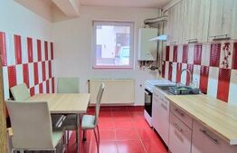 Apartament cu 2 dormitoare, bucatarie separata, renovat, zona Prof. Ioan Rus