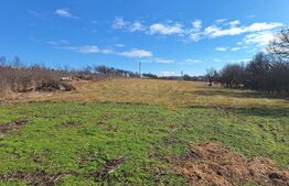 Teren 4400 mp, autorizatie, utilitati, zona Salistea Noua