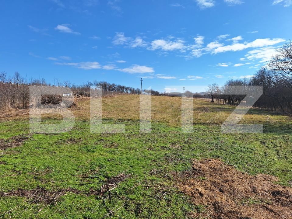 Teren de vânzare Salistea Noua - 188129TV | BLITZ Cluj-Napoca | Poza5