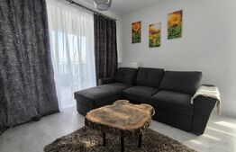 Apartament 2 camere tip studio - Zona Kasper-Coresi
