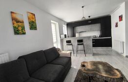 Apartament 2 camere tip studio - Zona Kasper-Coresi