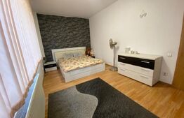 Apartament 2 camere, pet frienly, parcare, zona Piata Mihai Viteazu