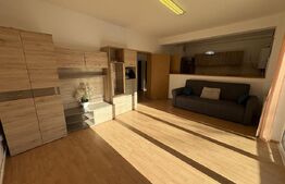 Apartament 2 camere, pet frienly, parcare, zona Piata Mihai Viteazu