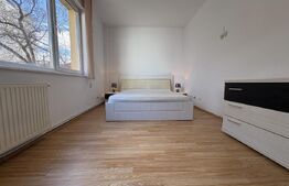 Apartament 2 camere, pet frienly, parcare, zona Piata Mihai Viteazu