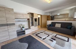 Apartament 2 camere, pet frienly, parcare, zona Piata Mihai Viteazu