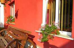 O casa primitoare ideala pentru o familie, zona Parcul Feroviarilor